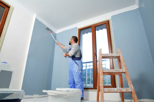 Best Wallpaper Removal and Painting  in Roscoe, IL